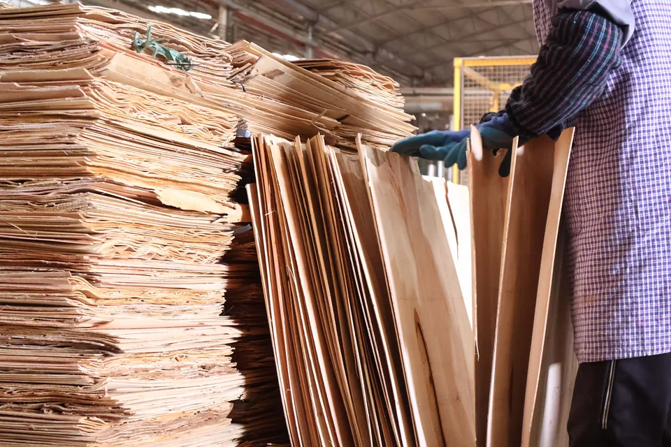 Veneer sorting for plywood production