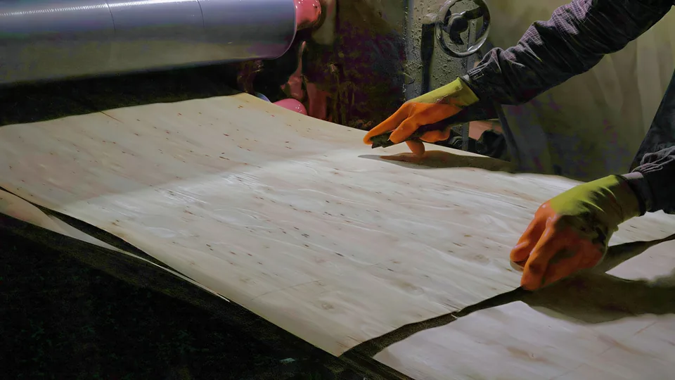Glue spreading on veneers for plywood production