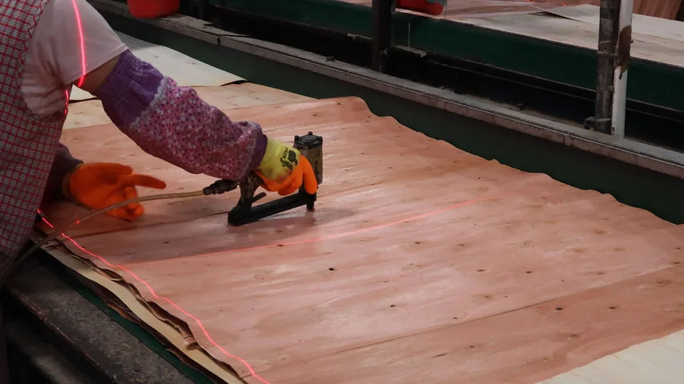 Cross-layer veneer lay-up for film faced plywood