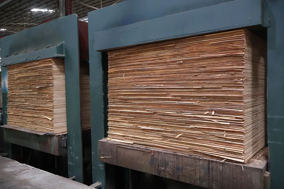Cold pressing plywood panels before hot press