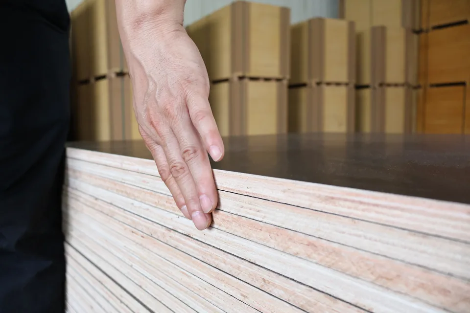 Plywood edge quality check photo