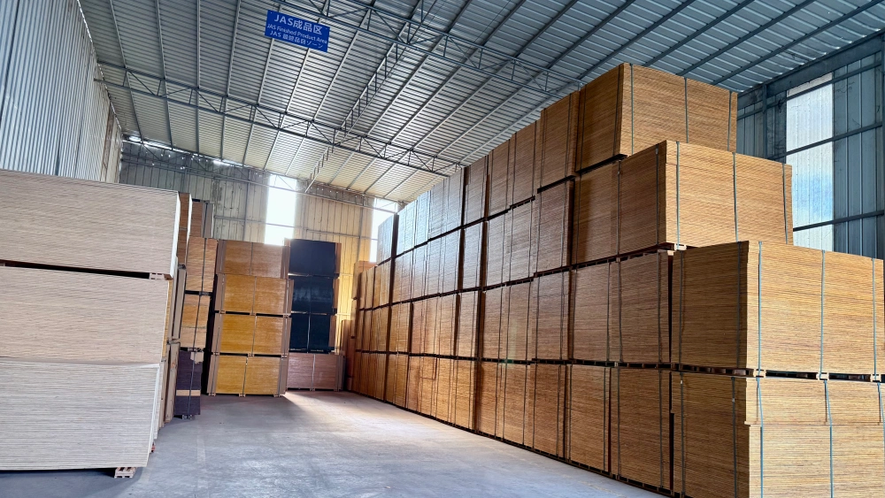 film-faced-plywood-stock-ready-for-export.webp.webp